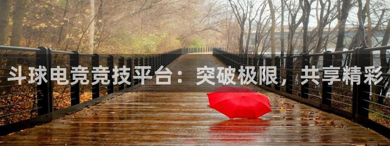 斗球电竞竞技平台：突破极限，共享精彩